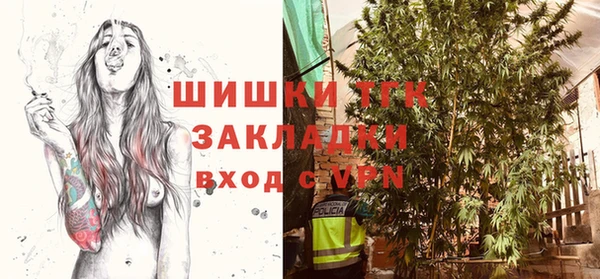сатива Касимов