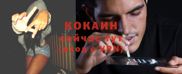 сатива Касимов
