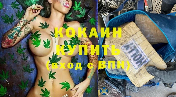 сатива Касимов