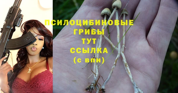 дживик Новосибирск