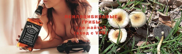 mdpv Санкт-Петербург