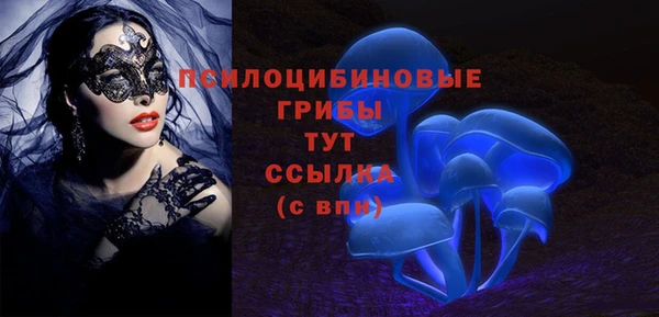 сатива Касимов