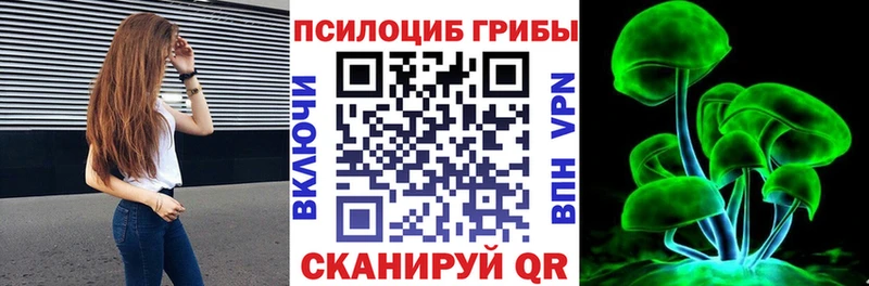 продажа наркотиков  Альметьевск  Псилоцибиновые грибы Psilocybine cubensis 