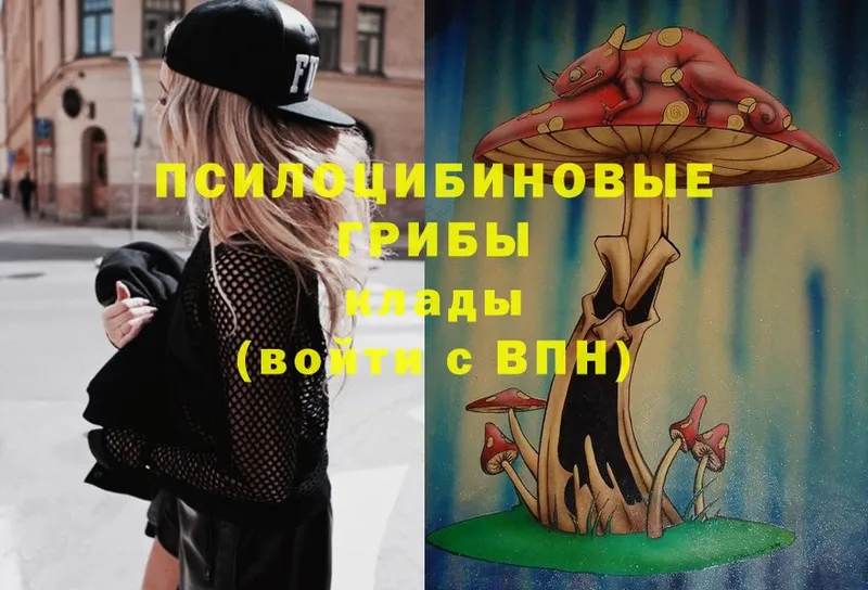 Псилоцибиновые грибы MAGIC MUSHROOMS  где найти наркотики  ОМГ ОМГ вход  Альметьевск 