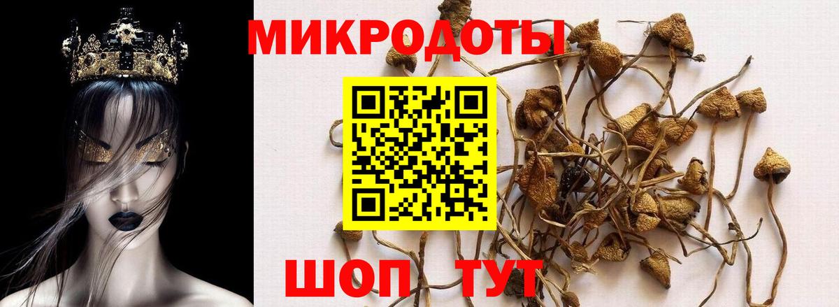 ГАШ Альметьевск