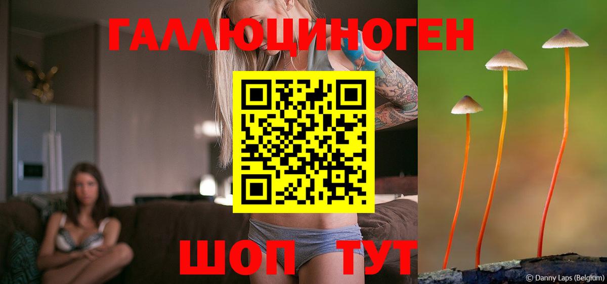 Альметьевск  Псилоцибиновые грибы Magic Shrooms  Вход с VPN 