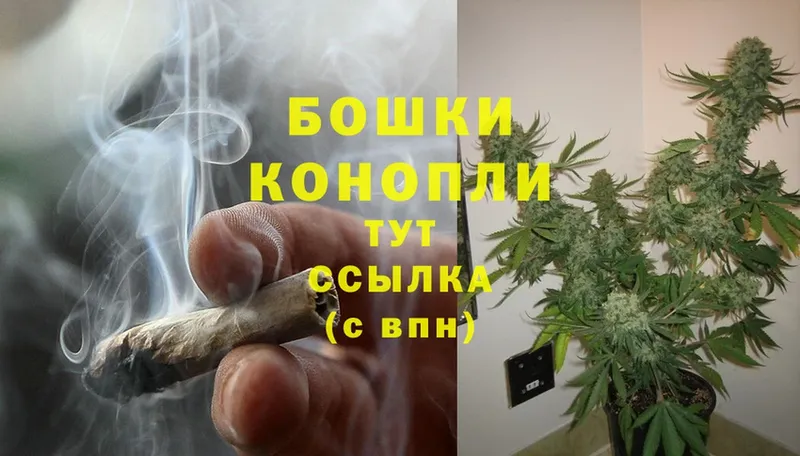 Бошки Шишки план  Альметьевск 